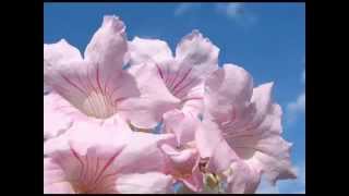 Abraham Hicks Defines Worthiness!
