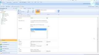 Platform Webinar: Preview on Item Based Structure (November 2012)