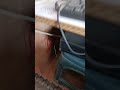 #short