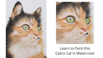 How to Paint a Realistic Calico Cat in Watercolor