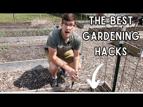 These 5 Garden