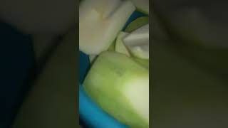 פשטידת קישואים של רונה