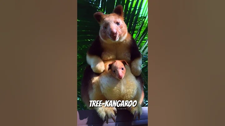 5 animals that will be extinct by 2030 #shorts