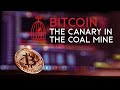 Bitcoin - Canary in the Coal Mine