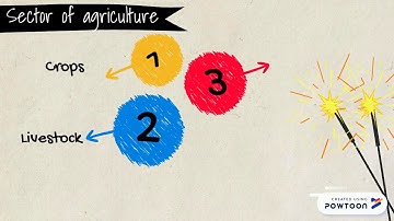 A191 SQQS 1013 ELEMENTARY STATISTIC GROUP W