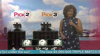 Pick Evening 20231001