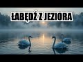 Łabędź z Jeziora - INSPIRACJA: „Jeziorem łabędzim” Pyotra Czajkowskiego
