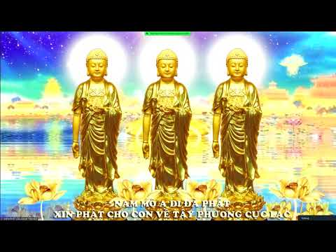 Video HỌC TẬP HỘ NIỆM - NHỮNG ĐIỀU CẦN CHÚ TRỌNG KHI KHAI... - YouTube