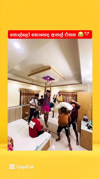 Download lagu කොල්ලෝ ඉක්මනට මැරේන්න හෙතුව 💀😂❤️