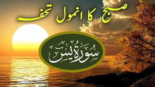 Surah Yaseen Recitation❤❤ | Quran tilawat | Surah Yaseen Tilawat