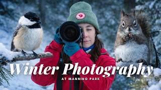 MANNING PARK - EASY WINTER HIKE, BIRDS, AND SQUIRREL PHOTOGRAPHY