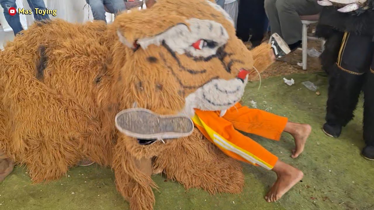 Bocah Dimakan Barongan Macan Di Buyaran Demak