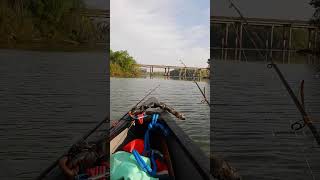Can Shoal Bass Still Be Found Here? | A Chattahoochee Mystery