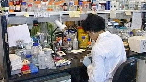 US breakthrough in stem cell research