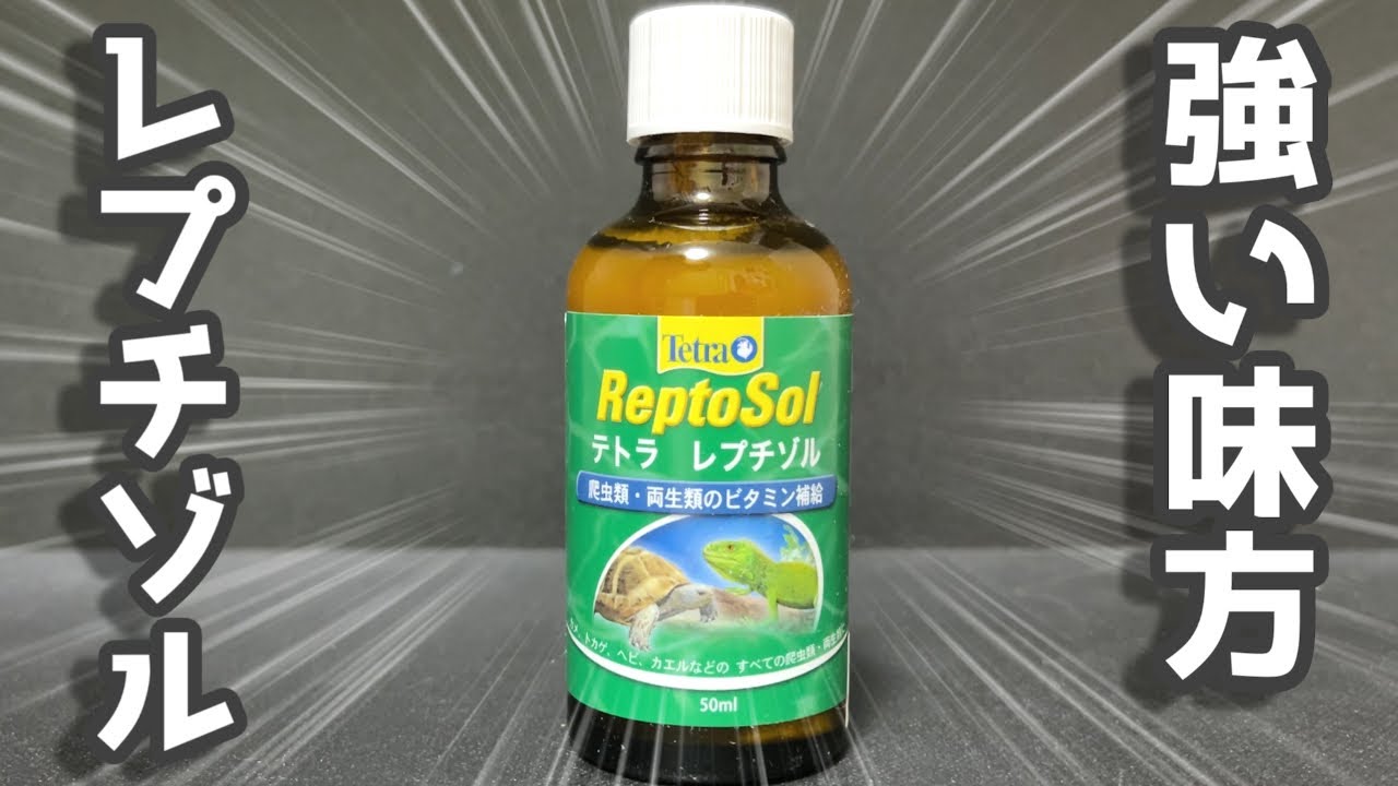 爬虫類・両生類のビタミン補給に便利な液体状の添加剤を紹介します