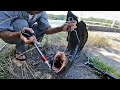 狩猟本能バリバリの怪魚ハンターがヤバイ。