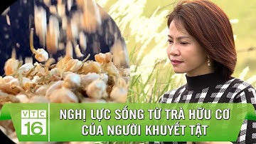 Nghị lực sống từ trà hữu cơ của người khuyết tật | VTC16