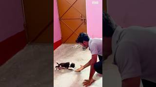 🐶DOGES BHAI ONE TOP DOG REACTION SUPPORT THIS CHANNEL PLEASE 🙏 #youtubeshorts  #stunt #viralvideo