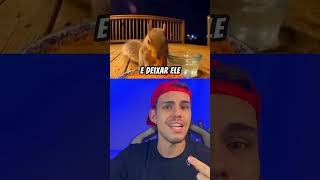 O espirro do ESQUILO é muito minimalista 😱