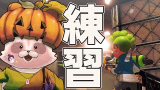 【Splatoon3】うわ、2マップともあまり得意じゃないかも。練習だ～【エリア/マテガイ・ヒラメ】