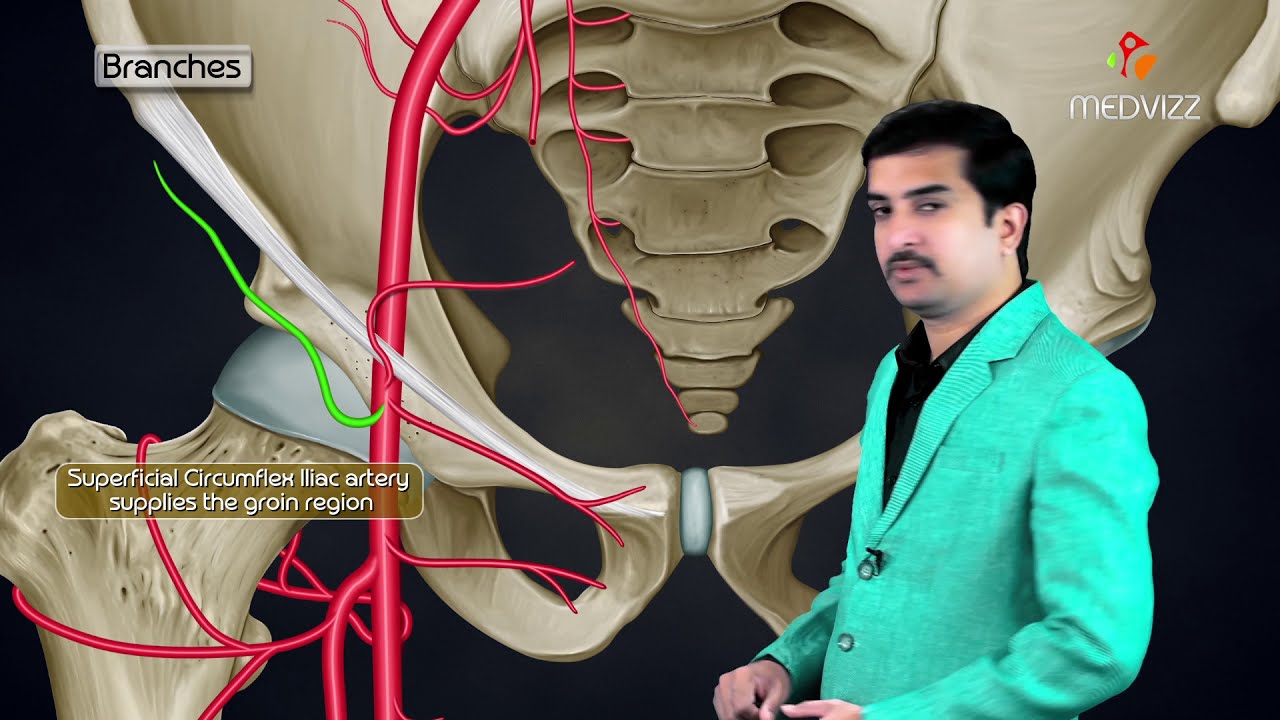 How Do You Say Femoral Artery