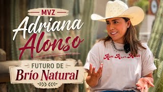 ⭐Veterinaria de Caballos Adriana Alonso en Brío Natural