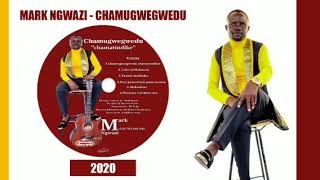 Tezvara vaTezvara - Mark Ngwazi & Njanja Express | Chamugwegwedu Album 2020