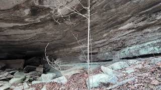 CAVE FOR SALE IN ARKANSAS OZARK MOUNTAINS 