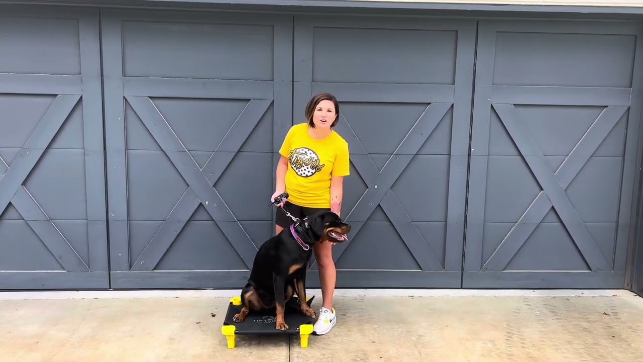 Oklahoma City Dog Training 8- Tip Top K9