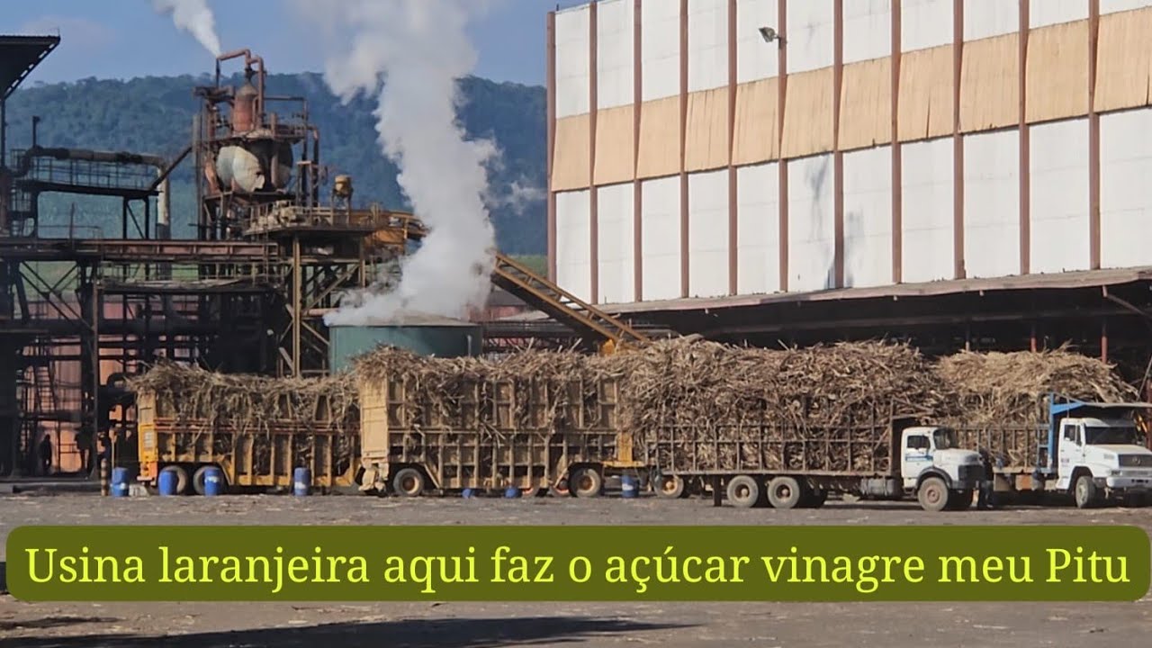 Usina laranjeira Vicência PE aqui faz açúcar  vinagre cachaça mel 20 carreta carregada   2025