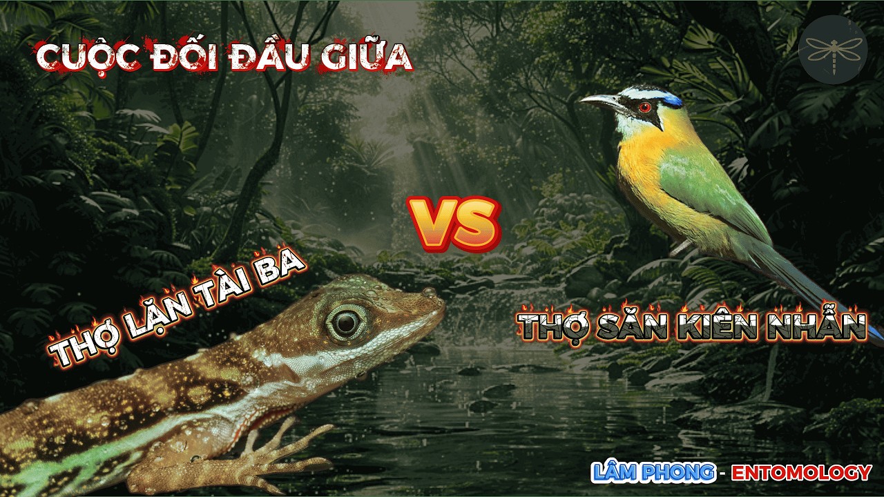 Khi Bị Dồn Vào Đường Cùng, Nó Làm Điều Không Tưởng