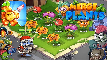Merge Plants Zombie Defens‪e Chapter 1 stage 13-14-15 gameplay walkthrough ios / android