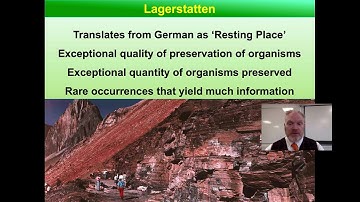 Exceptional Preservation