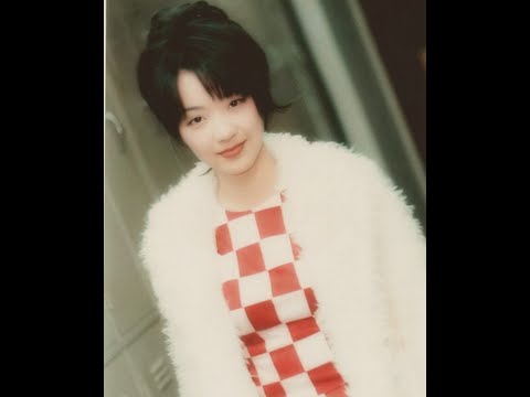 【刘德华＆陈慧娴】《我心不死》1995最终篇音乐会音频及图片集  歲月流情
