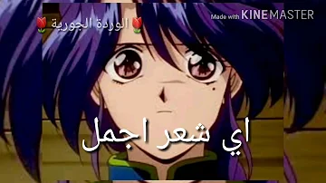 حب ميارة ونوريكو