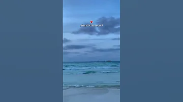لما حد يحب حد ايه اللي يمنعو اكسبلور حالات واتس شرين عبدالوهاب 