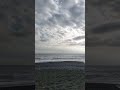 自然や動物　太陽や月から現代を読み解く　これがまさに真実だ
