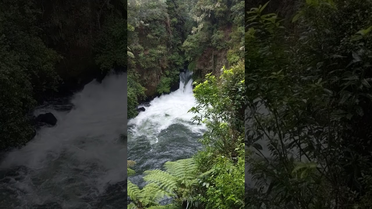 Tutea Falls nr Rotorua - near drowning