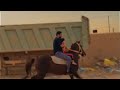 يوميات الاسطبل معاذ وهادي استلم السناب  🐎😂❤️"