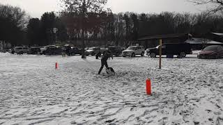 Connor - Round 2 - K9 Toss and Fetch - 01/30/21