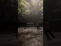 Kalyani x Kya fitoor - Shreya Ghoshal {Slowed+Reverb} #shorts #miusic #trendingshorts #kalyani #fypシ