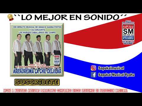 Areko reima la