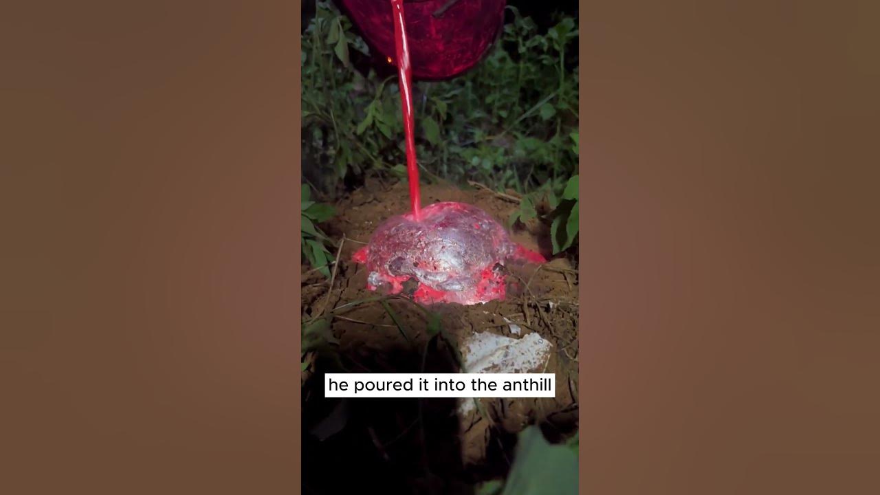 Poor Ants #rock  #crystals  #hunting  #gemstone  #shorts