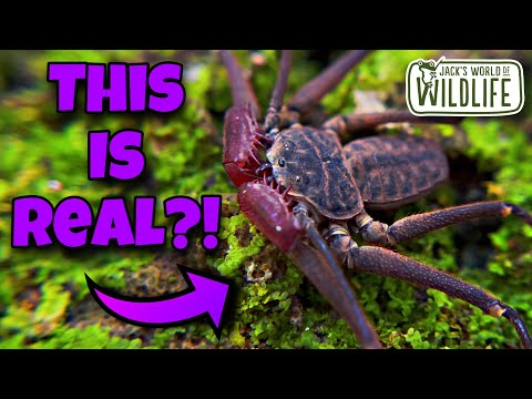 THESE ARE REAL
