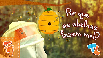 Qual a importância das abelhas para o ser humano?