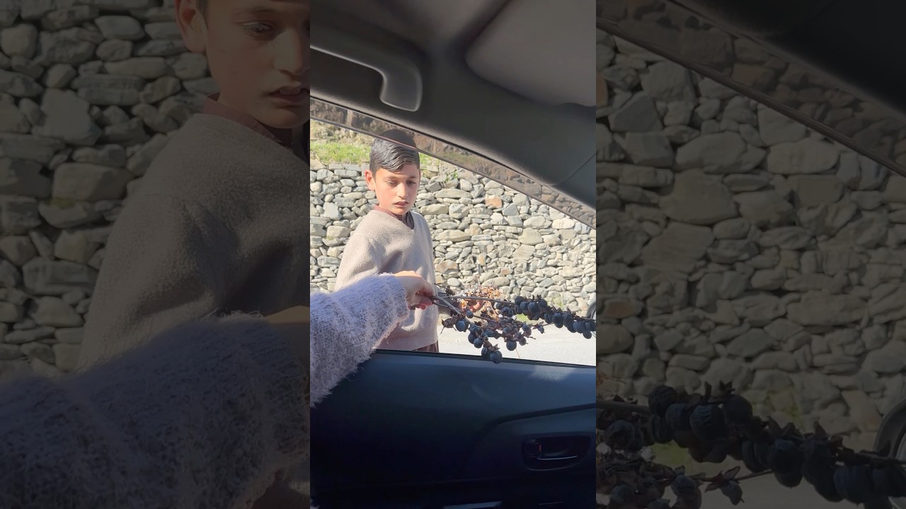 Kashmiri People’s Love & Hospitalit 