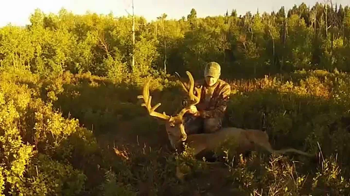 Utah archery mule deer hunt 2014
