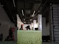 Animal walks exercises to Improve Mobility and strength Training and Conditioning