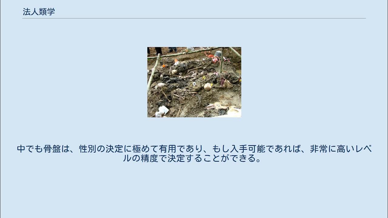 法人類学 YouTube