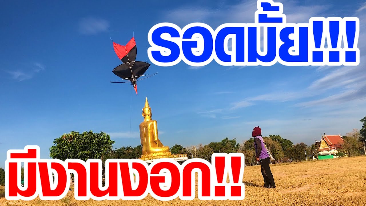 ปล่อยว่าวจุฬาวันลมโหดโครตนรกแตกอย่าหาทำ!!!!!#kiteflying #ว่าวอีขาสามส่วน #ว่าว #ว่าวจุฬา
